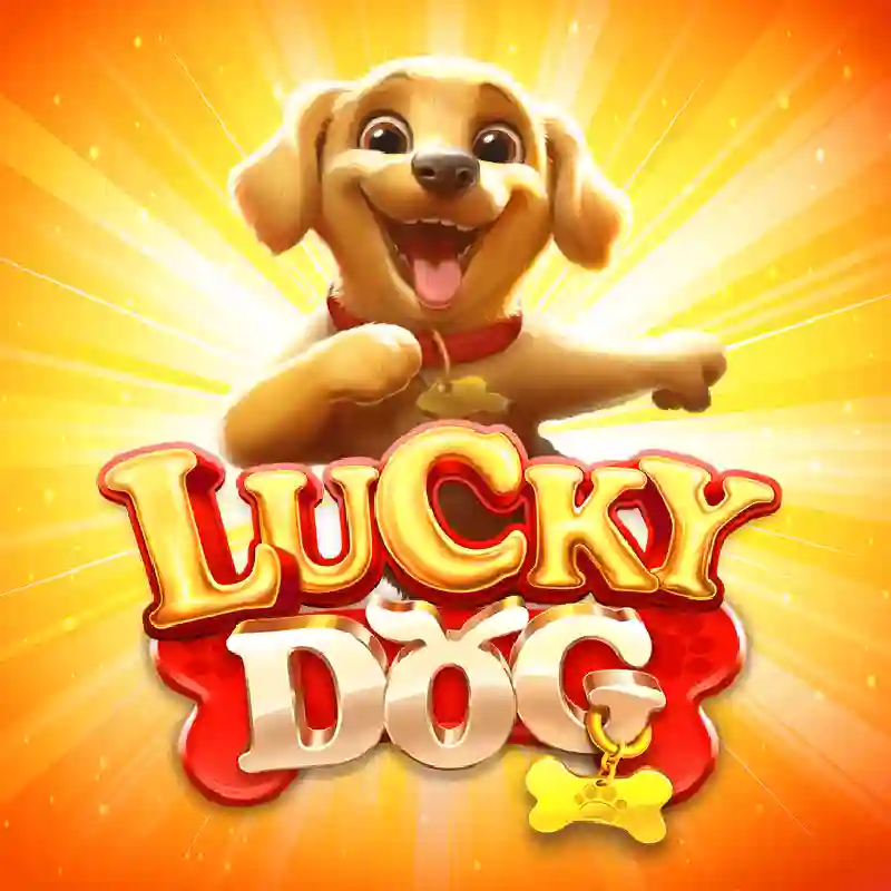 Jugar Lucky Dog en Royal77 Casino